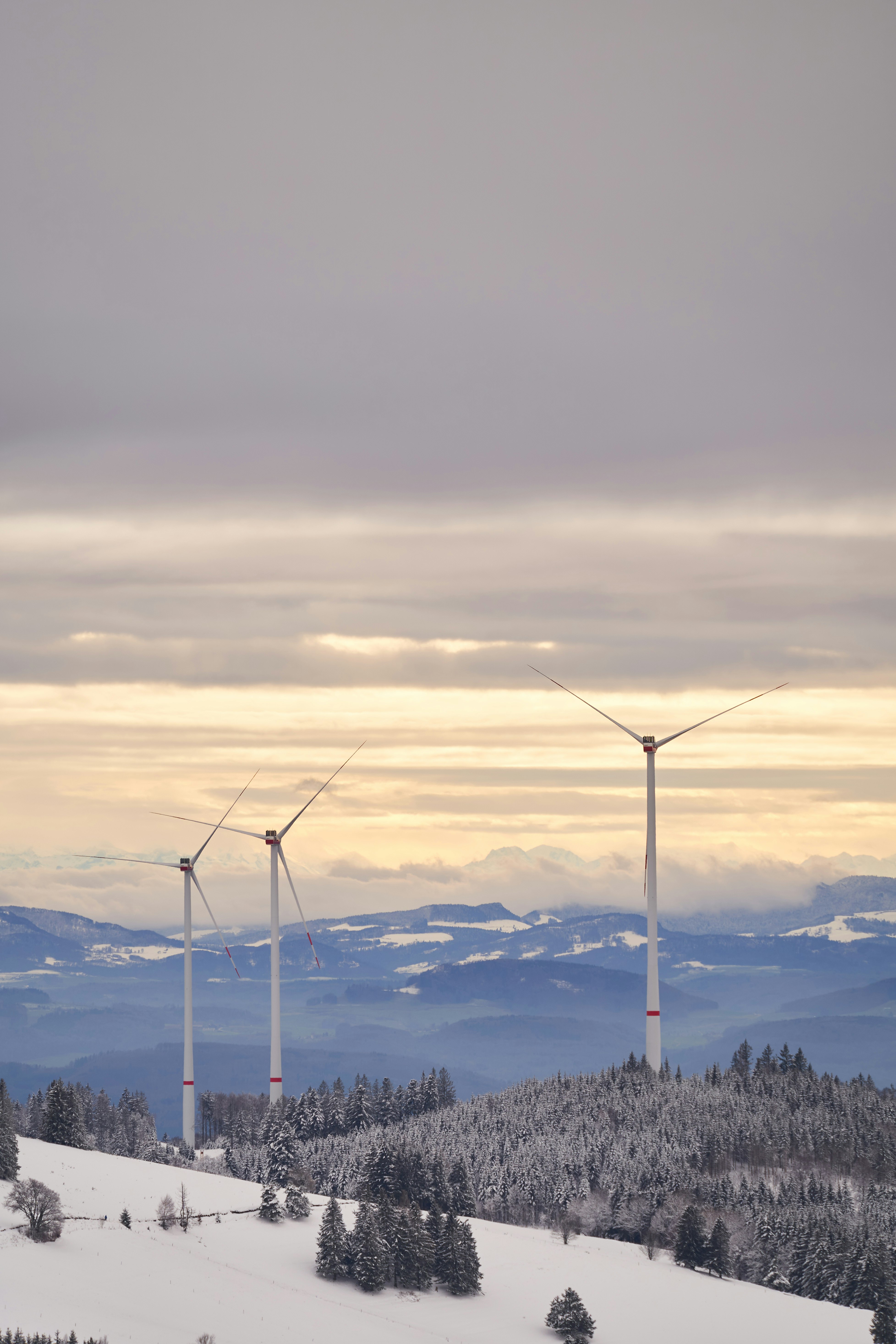 wind turbines on snow covered ground during daytime